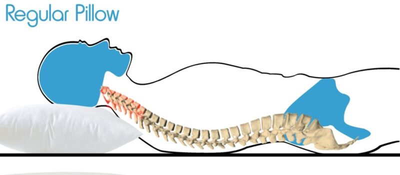 Buy Cervical Pillow in India | Neck Pain and Back Pain Relief with ...